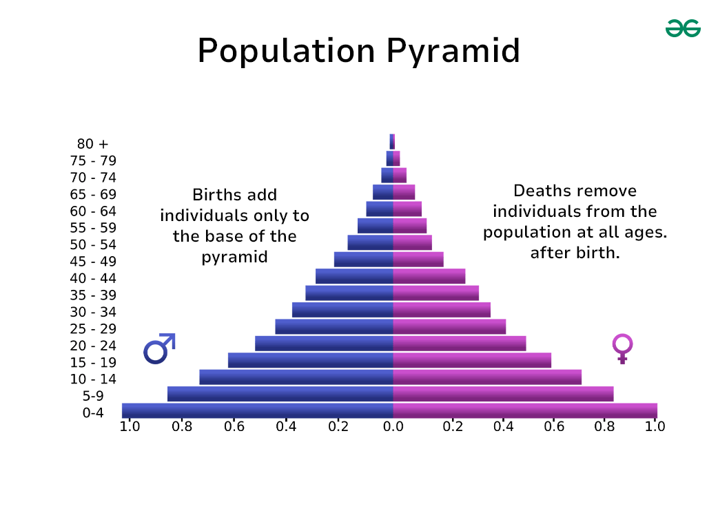 Life Tables and Survivorship Curves, Age-Sex Structure Overview ...