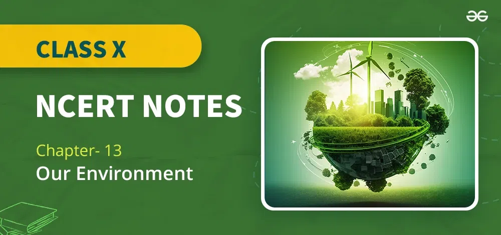 Our-Environment-Class-10-Chapter-13-CBSE-NCERT-Notes