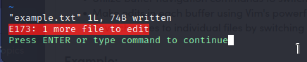 Editing multiple files in Vim Editor 