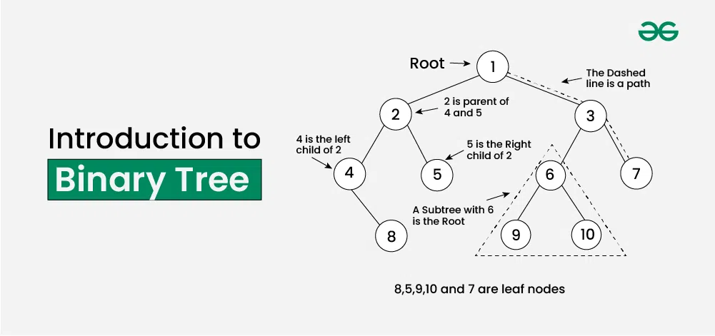 Introduction-to-Binary-Tree