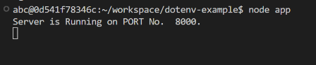 npm dotenv output