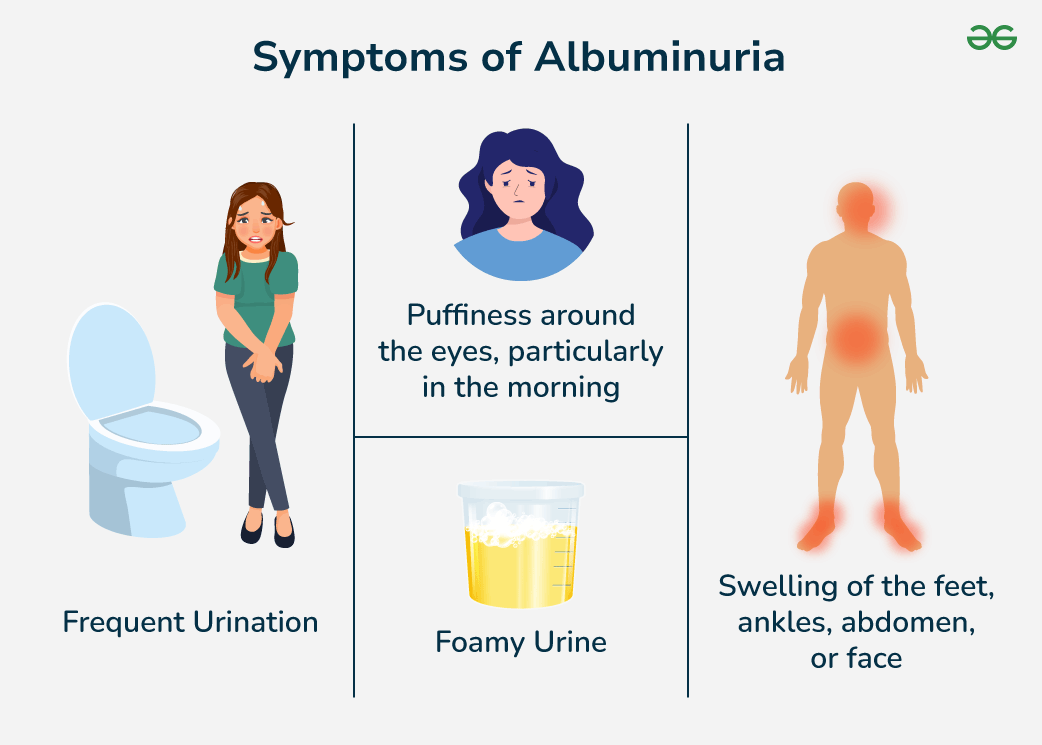 Symptoms-of-Albumin-in-urine