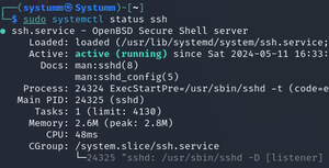 Enabling Remote Desktop and SSH access to Kali - GeeksforGeeks