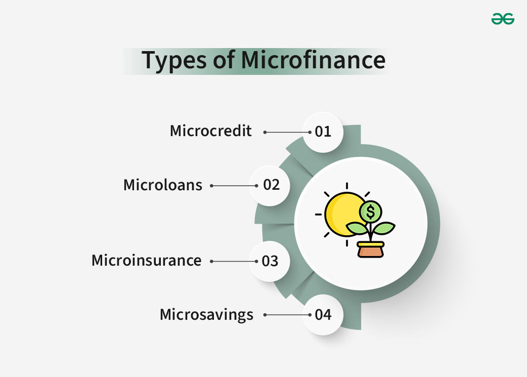 Types-of-Microfinance-copy