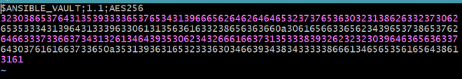 Securing Your Infrastructure with Ansible Vault - GeeksforGeeks