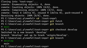 How to Clone a Branch in Git? - GeeksforGeeks