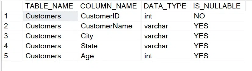 How to use INFORMATION_SCHEMA Views in SQL Server - GeeksforGeeks