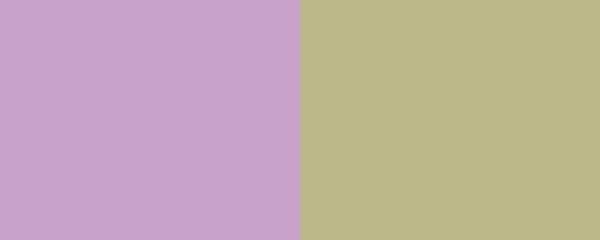 Best Color Combinations