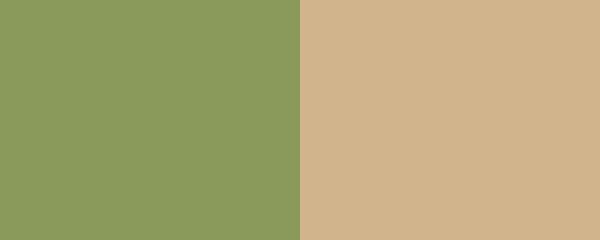 Best Color Combinations
