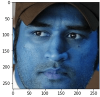 Feature extraction and image classification using OpenCV - GeeksforGeeks