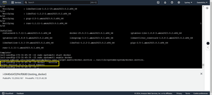 How to Install Docker on Amazon Linux - GeeksforGeeks