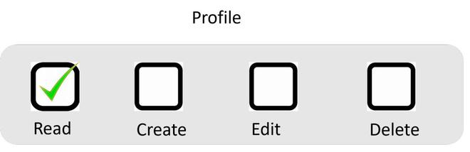 All user have  read access who assigned with this Profile