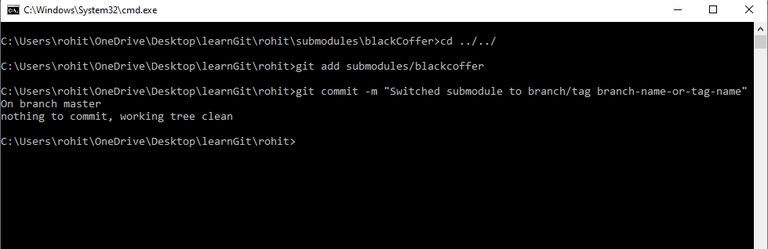 How To Specify A Branch/Tag When Adding a Git Submodule? - GeeksforGeeks
