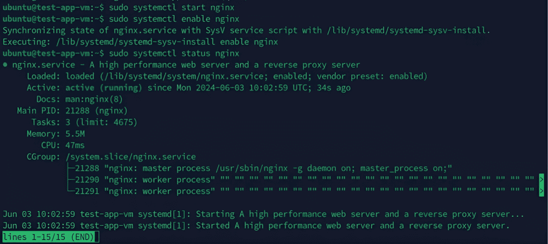 Check nginx status