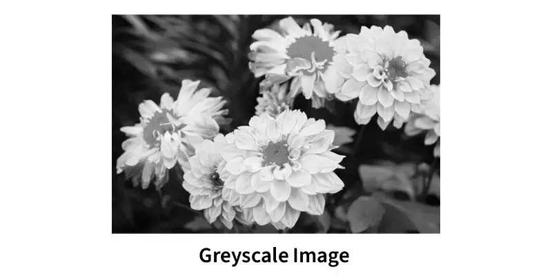 What is Grayscale Image? - GeeksforGeeks