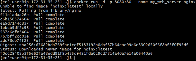 Connect Docker to Local Network - GeeksforGeeks
