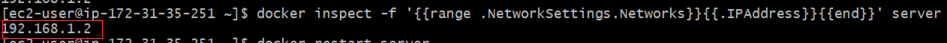 Run a Container on the macvlan Network