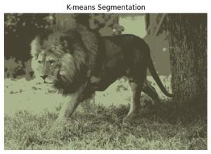 AI in Image Processing - GeeksforGeeks