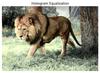 AI in Image Processing - GeeksforGeeks