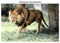 AI in Image Processing - GeeksforGeeks