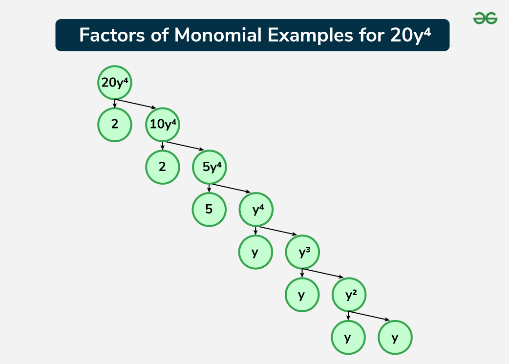 What is Monomial? - GeeksforGeeks