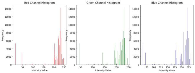 RGB Color Model in Python - GeeksforGeeks