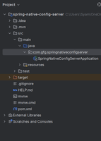 Using Native Configuration in Spring Cloud Config Server - GeeksforGeeks
