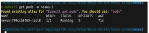Setup Latest Nexus OSS On Kubernetes - GeeksforGeeks