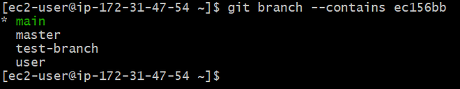 Git List All Branches GeeksforGeeks