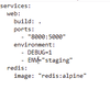 What Docker Environmental Variables ? - GeeksforGeeks