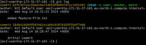 Git Checkout Branch - GeeksforGeeks