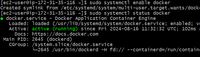 Docker Container Updates - GeeksforGeeks