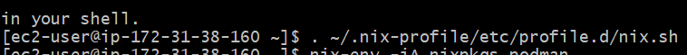 Activate Nix by sourcing the profile