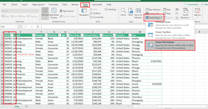 How to Freeze the Top Row and the First Column Using XlsxWriter ...