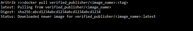 What Is Docker Verfied Publisher Data API? - GeeksforGeeks