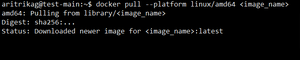 Docker : exec /usr/bin/sh: exec format error - GeeksforGeeks