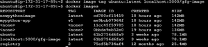 Docker Registry - GeeksforGeeks
