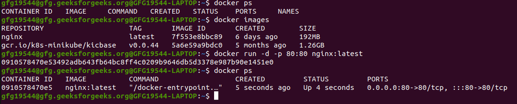 Docker exec - GeeksforGeeks