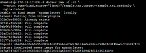 How to Mount a File in Docker? - GeeksforGeeks