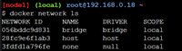 What is Docker Network Bridge? - GeeksforGeeks