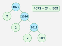 Fundamental Theorem of Arithmetic - GeeksforGeeks