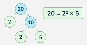 Fundamental Theorem of Arithmetic - GeeksforGeeks