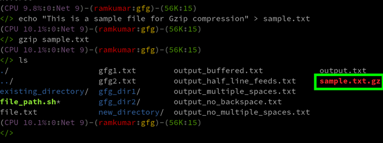 How to Use Gzip and Keep Original File in Linux? - GeeksforGeeks