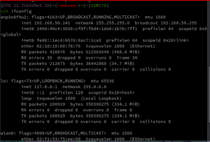 addresses Command in Linux with Examples - GeeksforGeeks