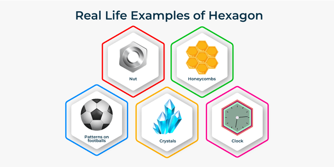 Hexagon Shape - GeeksforGeeks