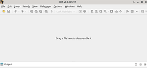 Reverse Engineering in Kali Linux - GeeksforGeeks