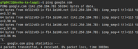 How Can I do Ctrl + C in the Linux Terminal - GeeksforGeeks