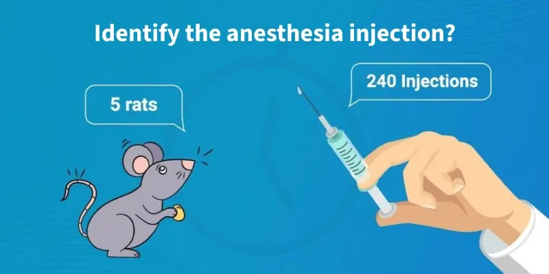 identify_the_anesthesia_injection_