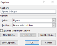 Images and Charts Captions in MS Word - GeeksforGeeks