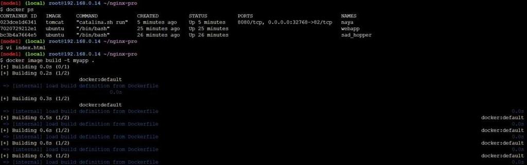 Dockerizing a simple Web application - GeeksforGeeks